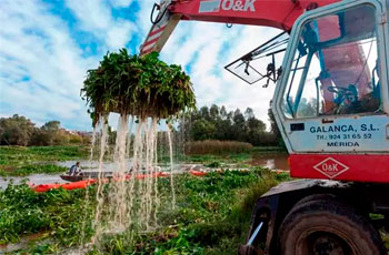 excavaciones-y-movimientos-de-tierra-en-mérida-camalote